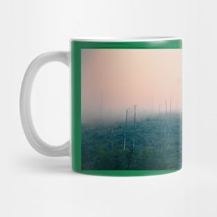 Mountainside, trees destroyed by wind and acid rains Mug